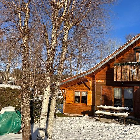 Chalet Chloe - Wifi, Bbq, Parking Xonrupt-Longemer Eksteriør billede