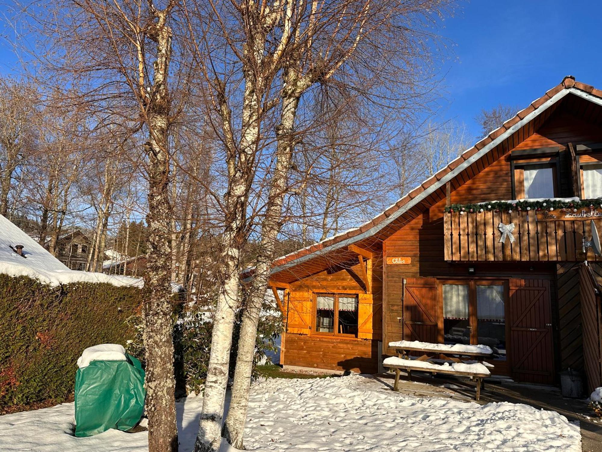Chalet Chloe - Wifi, Bbq, Parking Xonrupt-Longemer Eksteriør billede